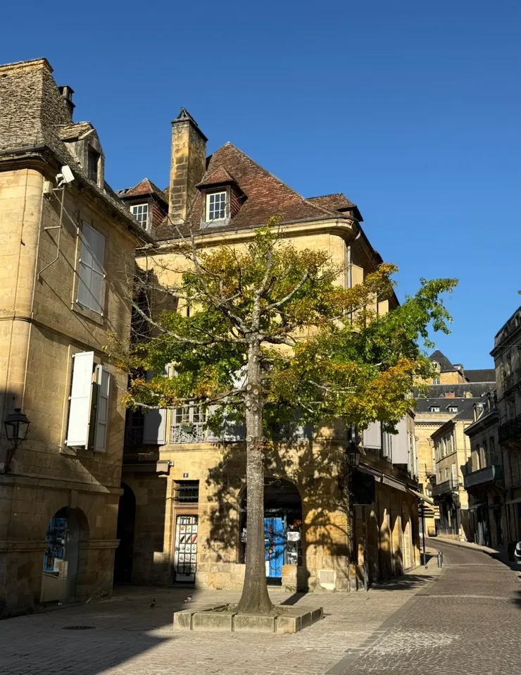 廣場上，每天會看到的街景