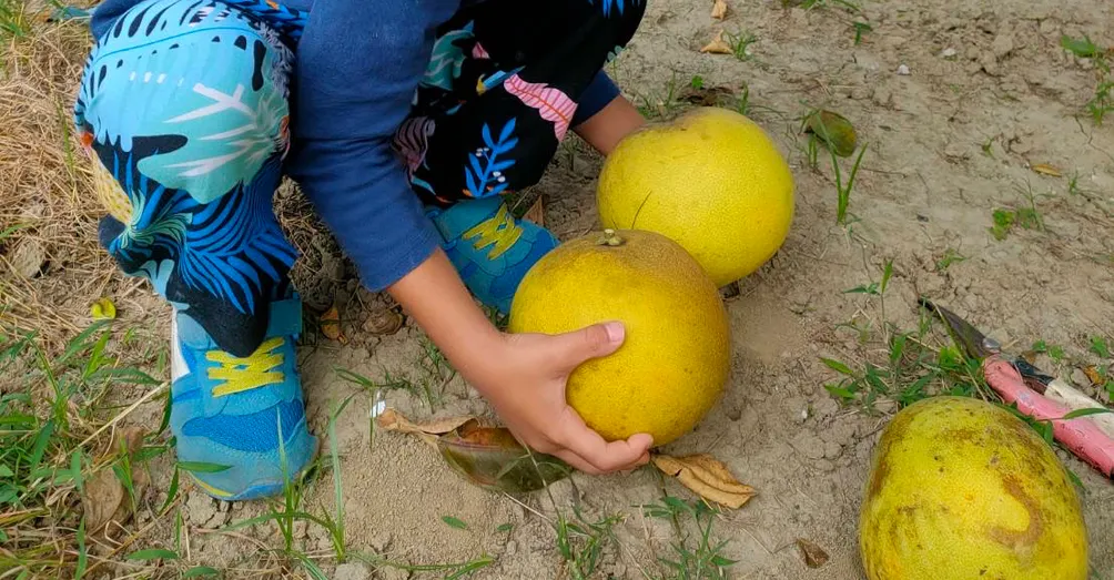 Betty Lee的食育心得隨筆
