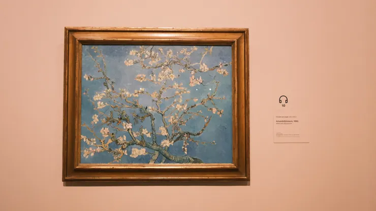 盛開的杏花 - Almond Blossoms