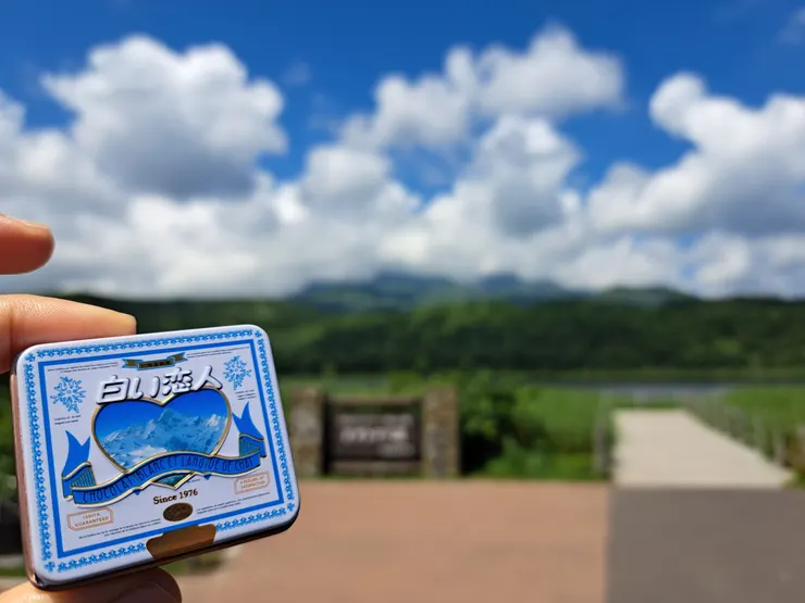 白色戀人小鐵盒與被擋住的利尻山/攝影:NANA濕婦