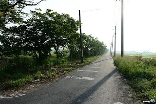 往烏樹林方向,沿途亦無糖鐵痕跡(7330)