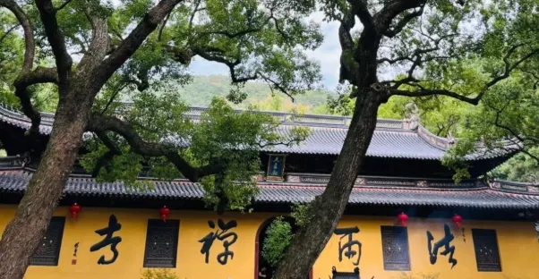 法雨寺這座位於山間的古老寺廟,背景綠樹成蔭,紅燈籠掛在寺廟外牆上,營造出寧靜的宗教氛圍。