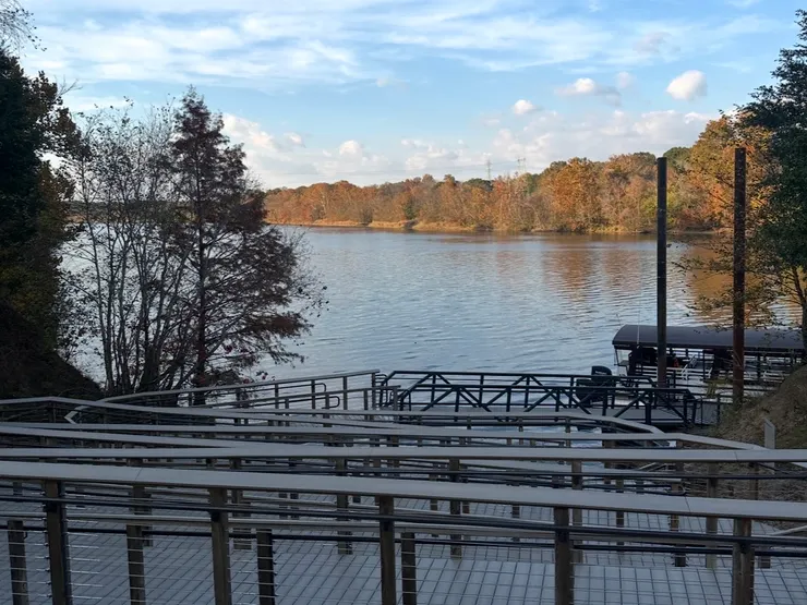 當天只有五個人搭乘的渡輪,對面一整排的樹葉在太陽照射下金黃火紅