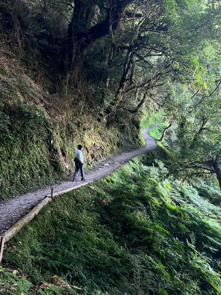 步道前段平坦，走起來相當舒服