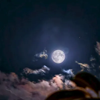 自由之後。退休隨筆