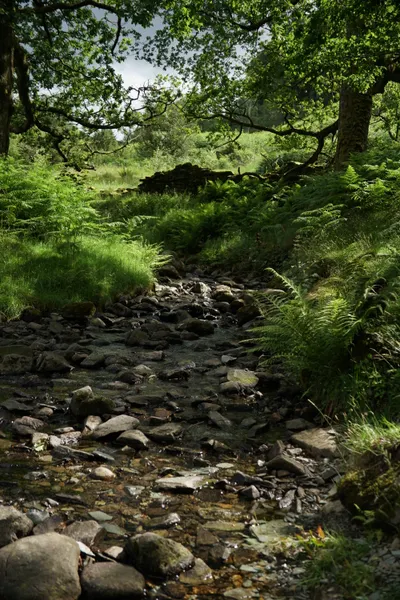 灰與綠的湖區：Ambleside-Rydal Cave