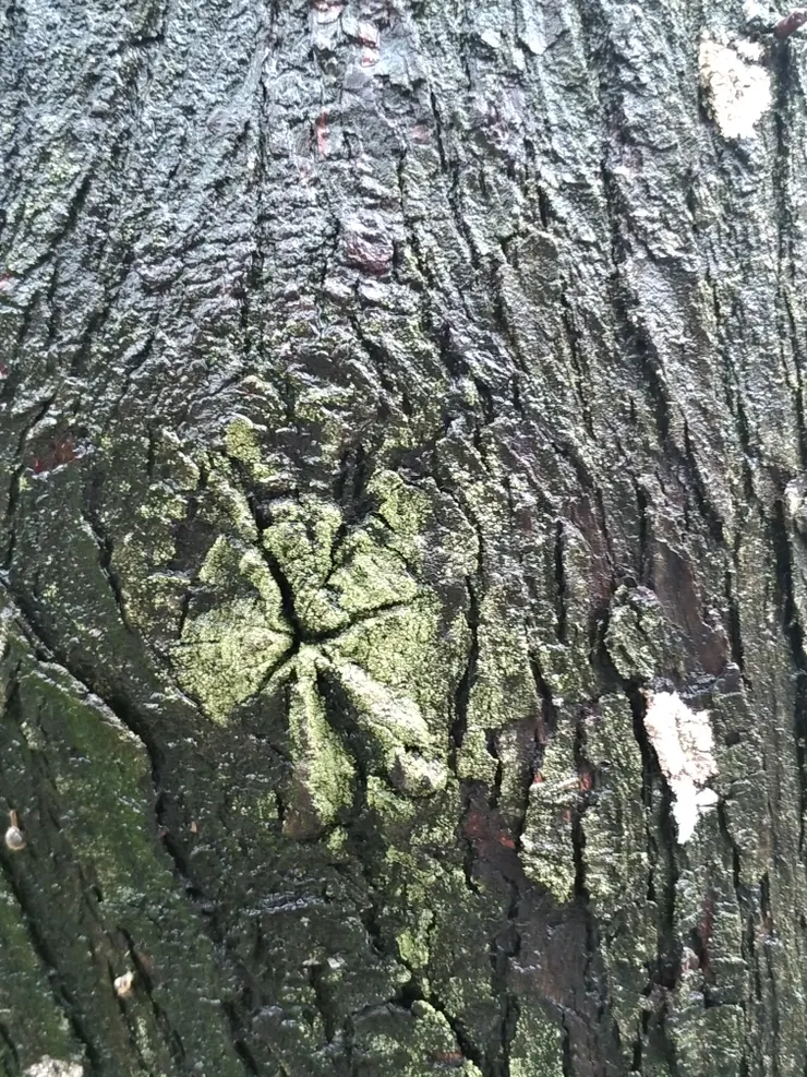 我發現了!但也被發現了!!