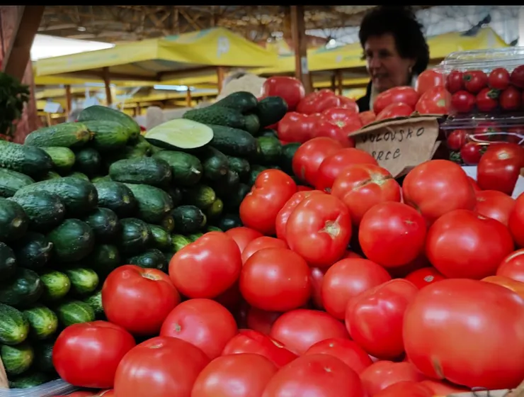 世界各地番茄的品種不同，這是歐洲的潘茄🌿田尾綠手指
