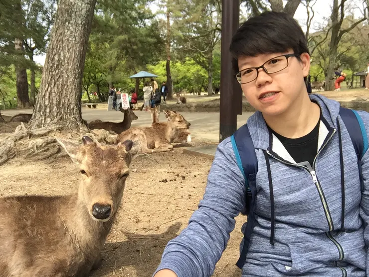 到奈良不跟鹿拍張照嗎?