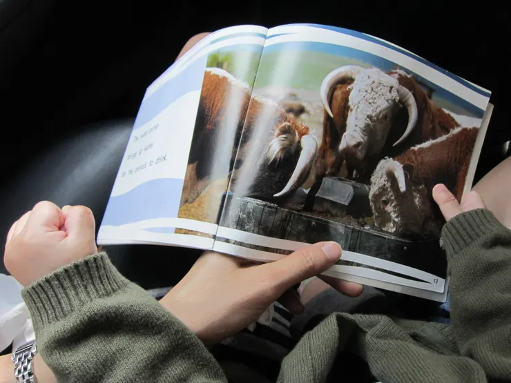 隨手一本書都能開啟親子共讀話題。