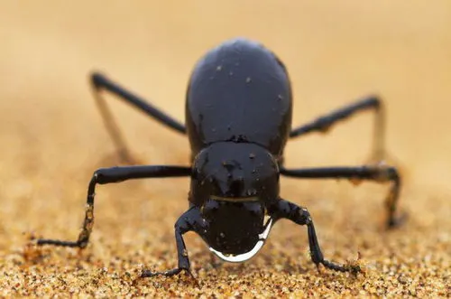 圖片來源：搜狗圖片