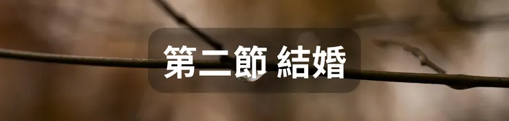 第二節 結婚