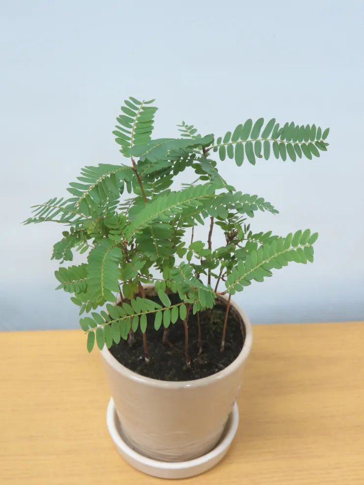 中山社大111.09.15