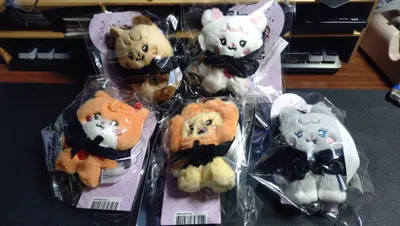 Neverland 就要有一套 minini 