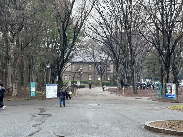 獨自漫步雨中前往舊東京音樂學校奏樂堂的路上