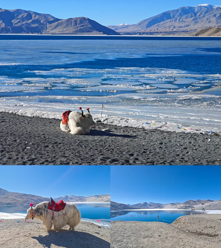 白沙胡。看更多照片請追縱我的IG @richangphoto1109