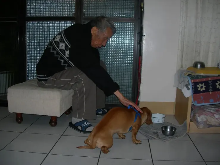 阿公撫摸烏哈好疼惜