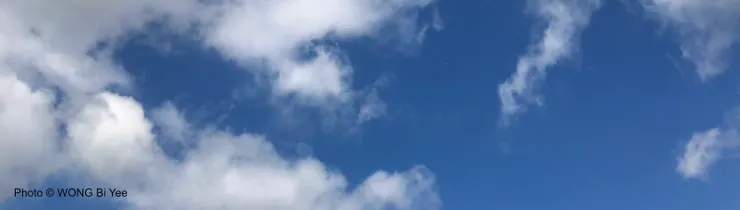 盧森堡公園的天空，這個回憶至今還能帶來療癒的感覺。