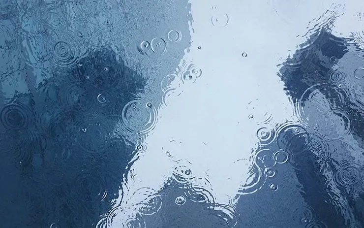 圖片來源：Pexels