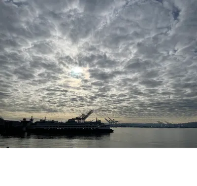 Joyce's 快思慢想