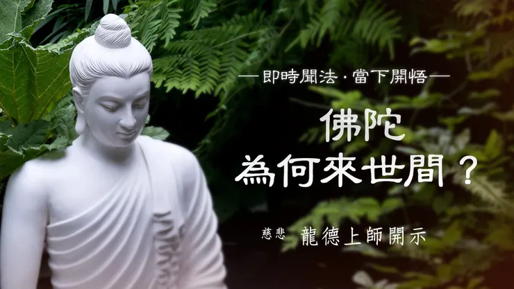 慈悲 龍德上師：佛陀為何來世間？