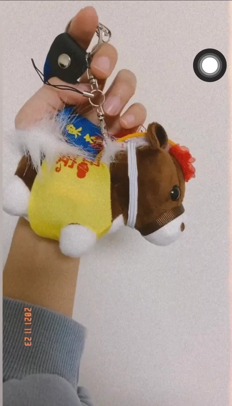 Boss買給我們的東港迎王小王馬🐎