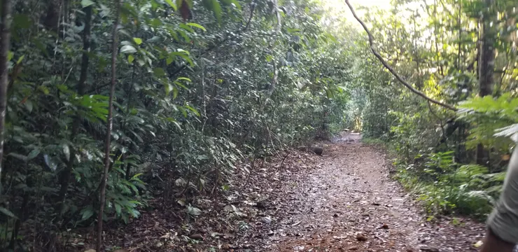 一直走都是平整的道路