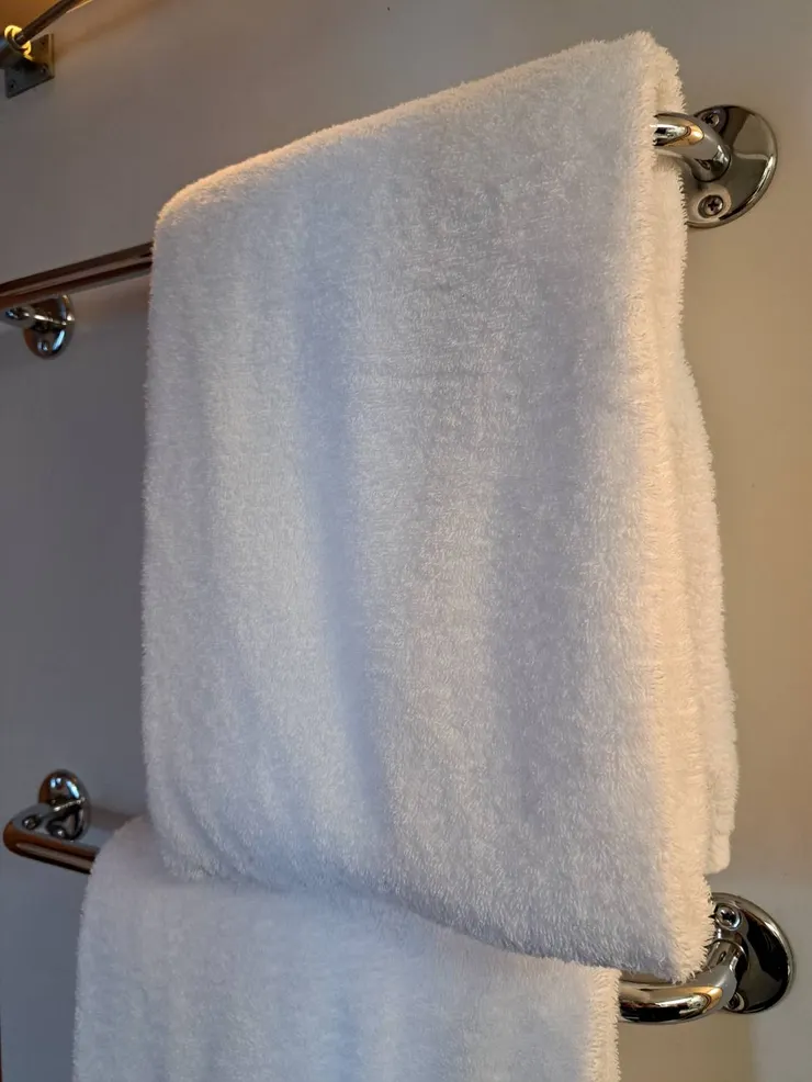 有浴巾裡面有告示，沒有使用痕跡會沿用到下個房客使用，用過丟地板