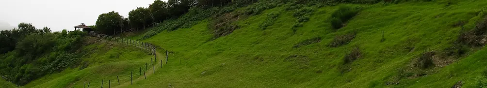 天生就亂想就亂寫的光頭