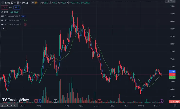股價走勢鳥鳥的