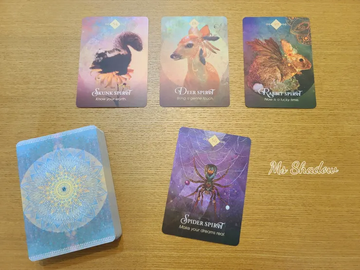 The Spirit Animal Oracle 心靈動物神諭卡