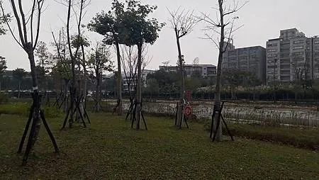 [新北旅遊]裕隆城認養綠湖公園，唯美、生態 、綠意、曬小孩的