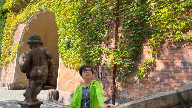 外牆的爬藤類植物讓市政廳變得更有美感