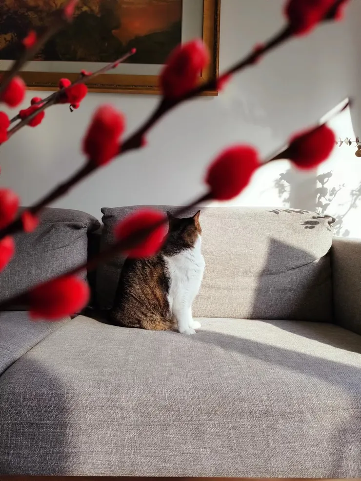 早晨曬太陽的妹妹