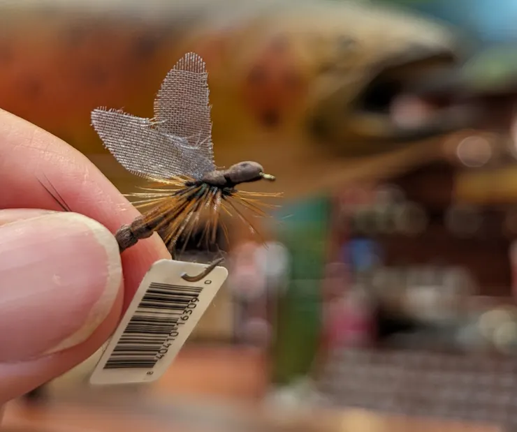 有沒有像真正的昆蟲阿