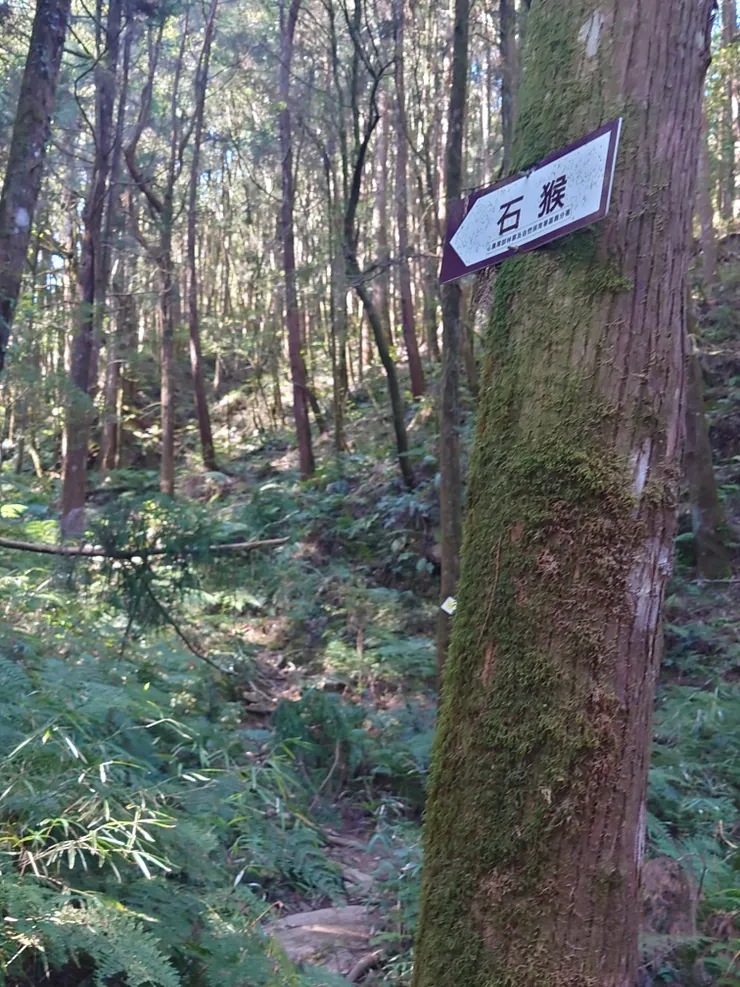 要到石猴還早得很