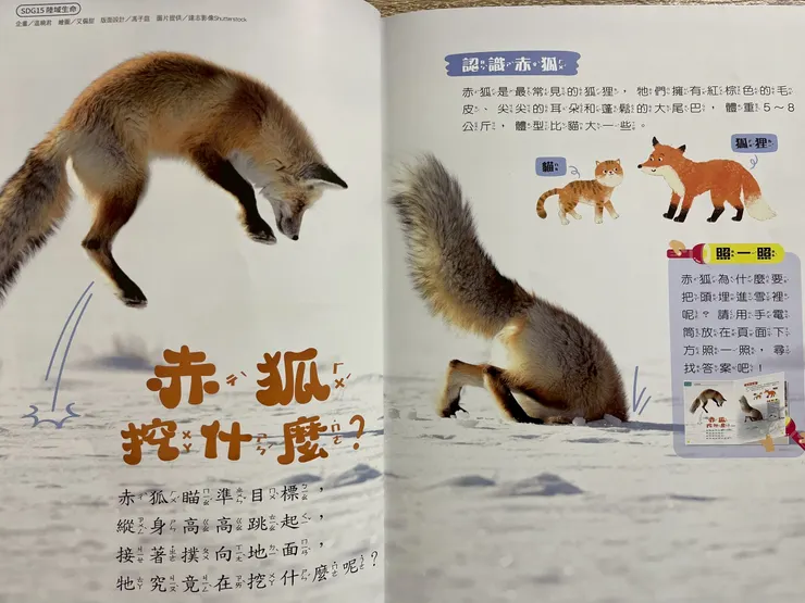 「赤狐挖什麼?」部分內頁