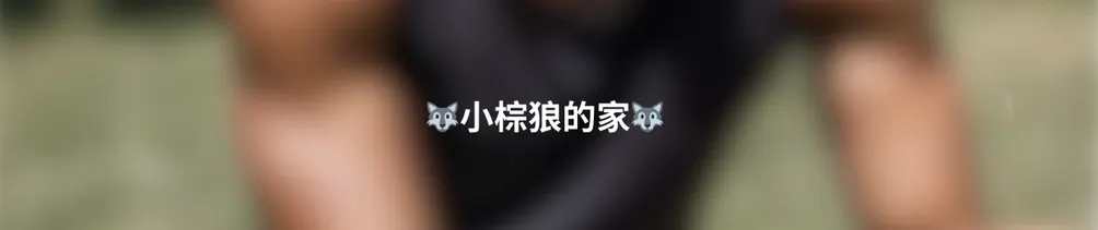 小棕狼的家