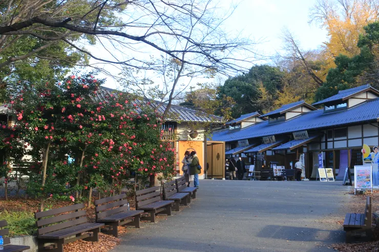 金鯱橫丁-義直區，剛到時遊客不算多