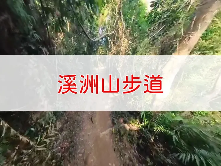 【桃園】小百岳-溪洲山步道 | 全長：7.9公里 | 難度：低-中