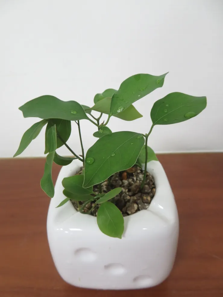 士林社大112.06.26