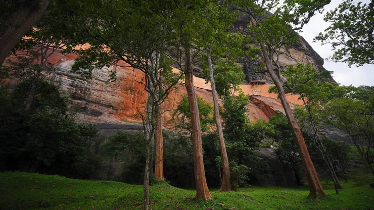 岩石上下兩半顏色不同