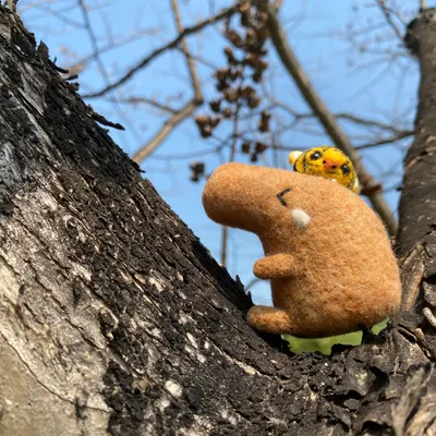 羊毛山棉花田的沙龍