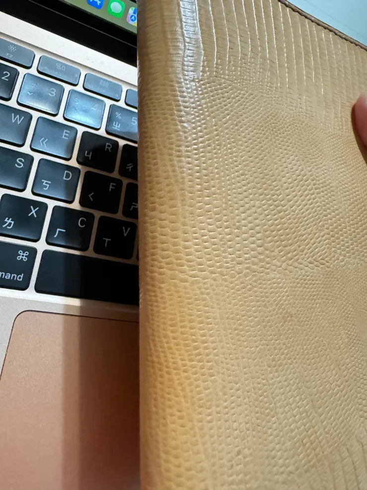 皮色因陽光有差異