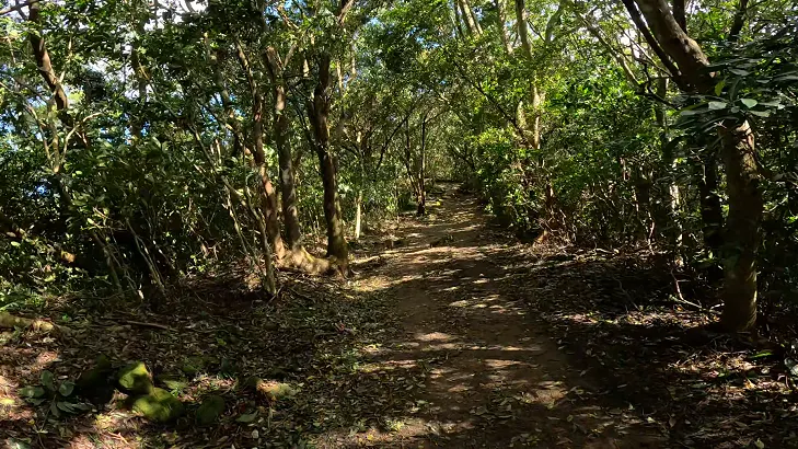 蠻多平坦的路段可以跑起來