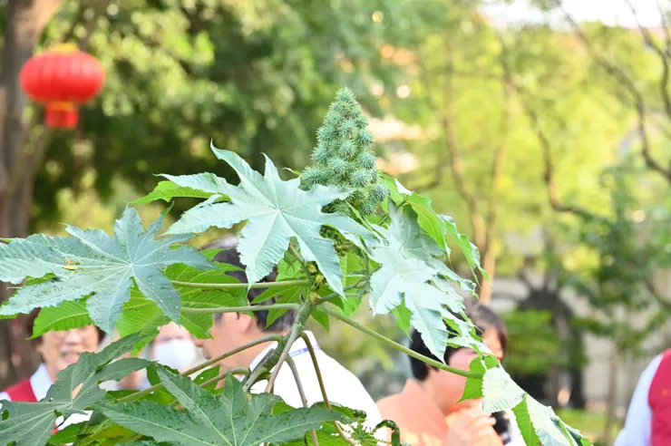 圖 / 佛光山佛陀紀念館