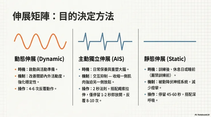 伸展策略：靈活性與流動性