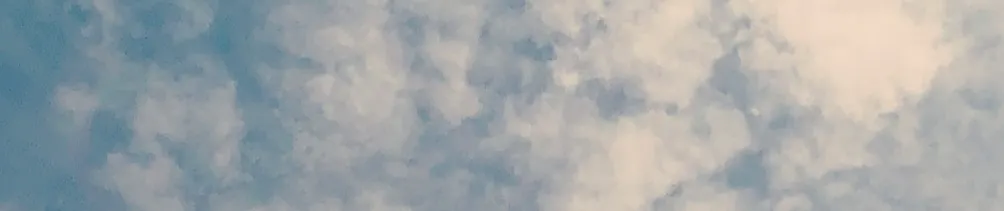 自由自在的生活