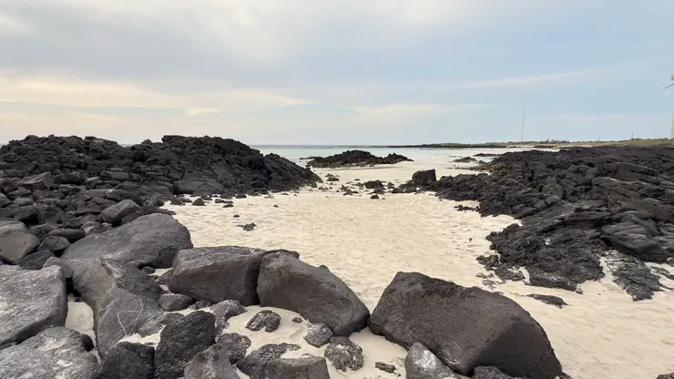 韓劇海女上岸後整理收穫的地點