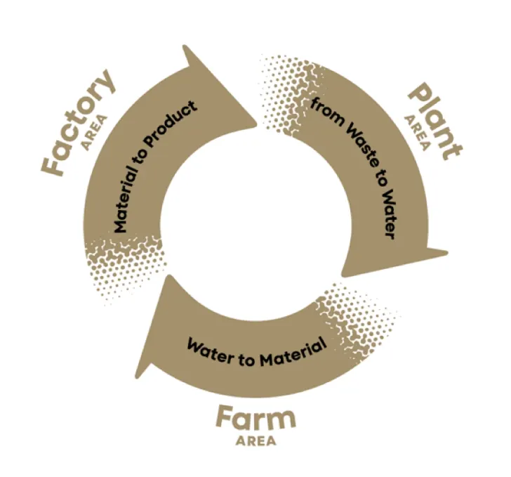圖片來源：日本館 | EXPO 2025大阪 關西萬博